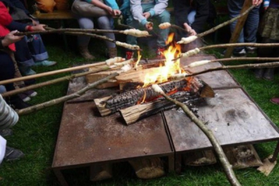 Biene-Ranger begleiten